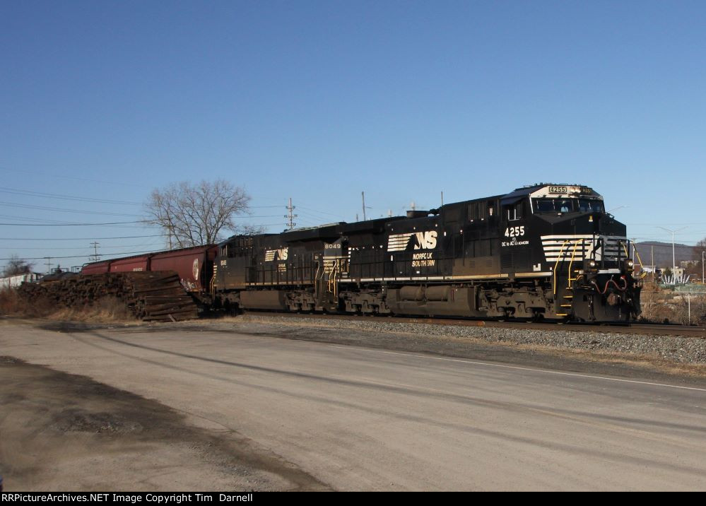 NS 4255 leads 310